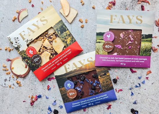 Saveurs boréales : comment goûter le Québec à travers le chocolat