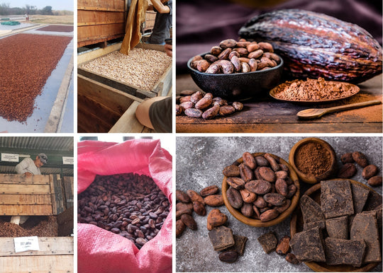 Qu’est-ce qu’un chocolat québécois?