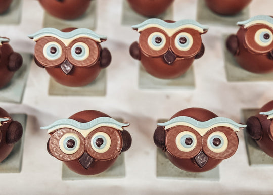 Comment bien conserver vos chocolats?