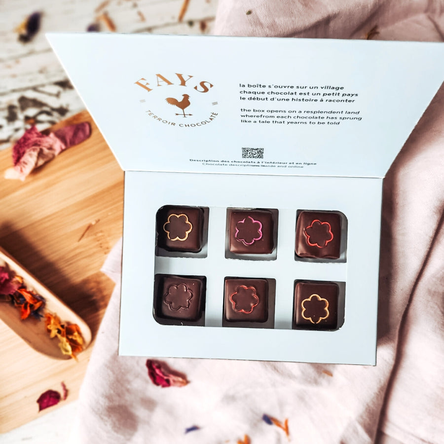 Boîte de 6 chocolats- Édition Limitée