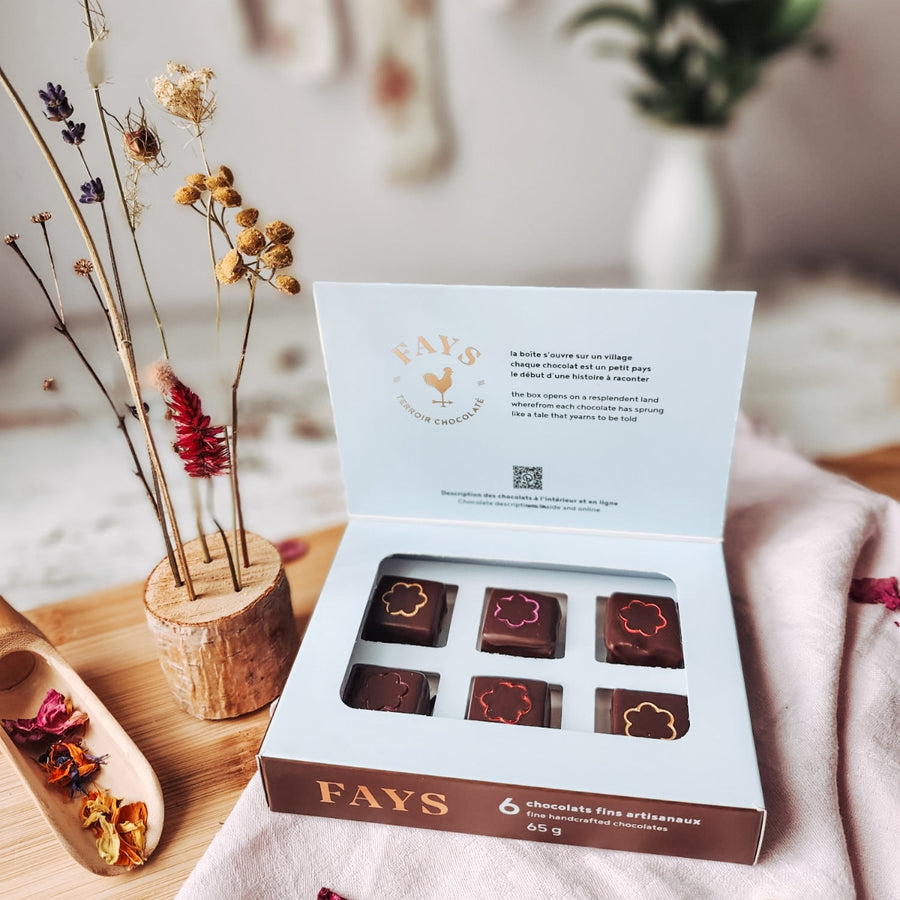 Boîte de 6 chocolats- Édition Limitée
