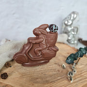 Lapin Motocycliste