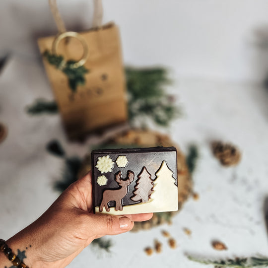 Chocolat de Noël et praliné maison