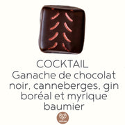 Boîte de 12 chocolats fins artisanaux VÉGANES