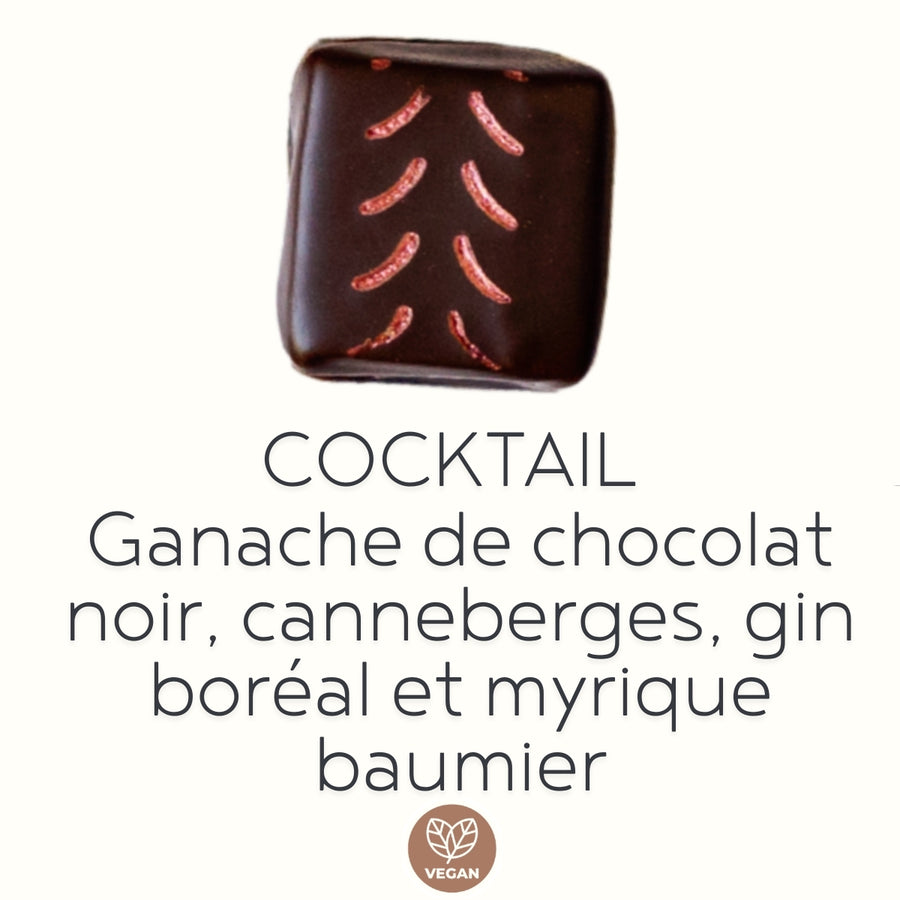 Boîte de 6 chocolats fins artisanaux VÉGANES