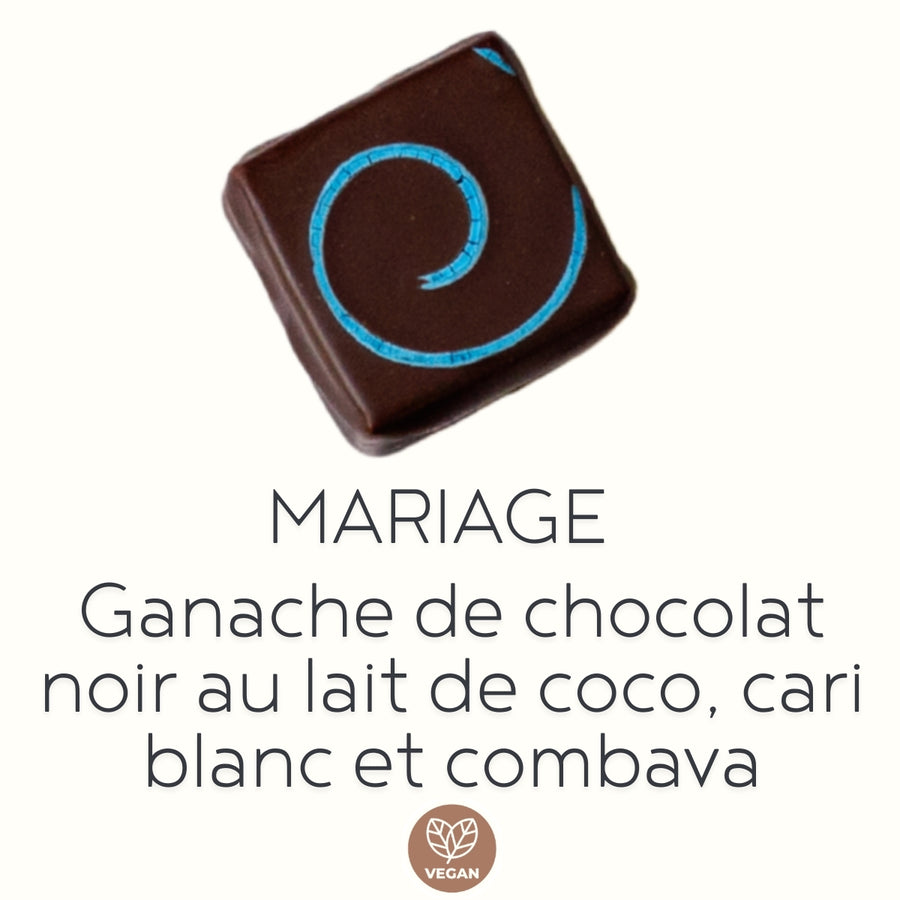 Boîte de 12 chocolats fins artisanaux VÉGANES