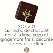 Boîte de 6 chocolats fins artisanaux VÉGANES