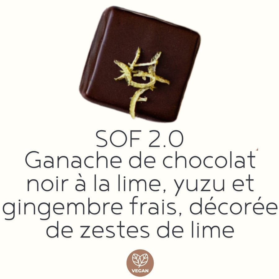Boîte de 12 chocolats fins artisanaux VÉGANES