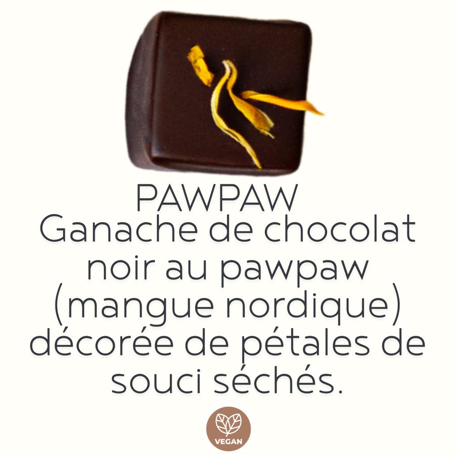 Boîte de 12 chocolats fins artisanaux VÉGANES