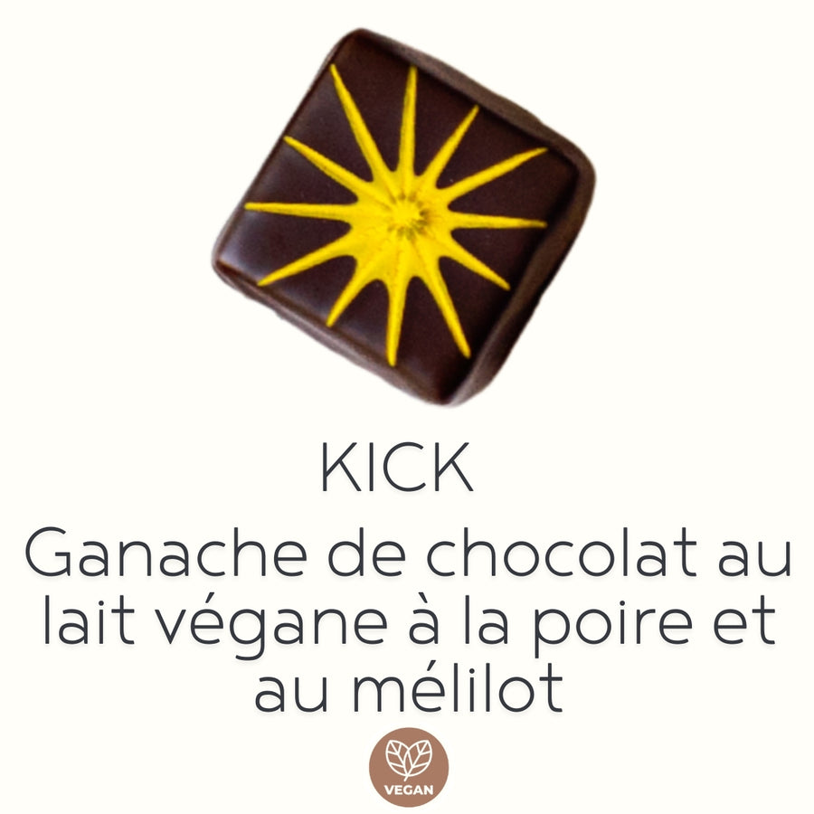 Boîte de 12 chocolats fins artisanaux VÉGANES