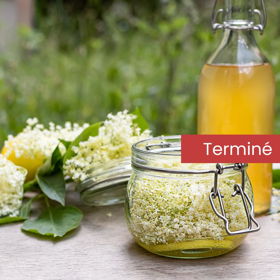 Élixirs du jardin - boissons rafraîchissantes aux fleurs et aux herbes
