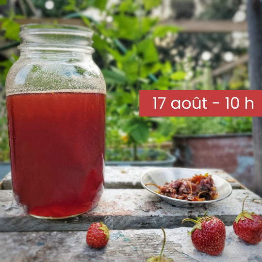 Élixirs du jardin - boissons rafraîchissantes aux fleurs et aux herbes