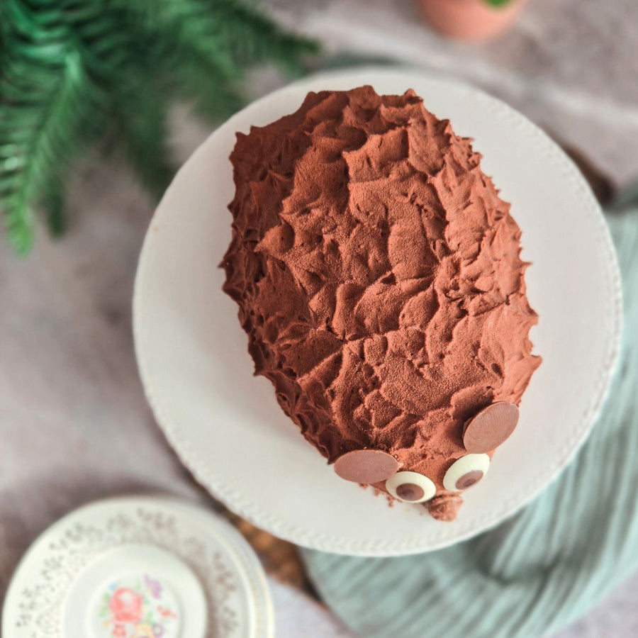 Gâteau Léon le Hérisson