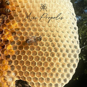 Miel Fusion Miss Propolis