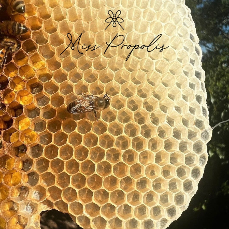 Miel Fusion Miss Propolis