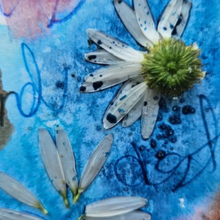 Ateliers découverte - Encres et aquarelles
